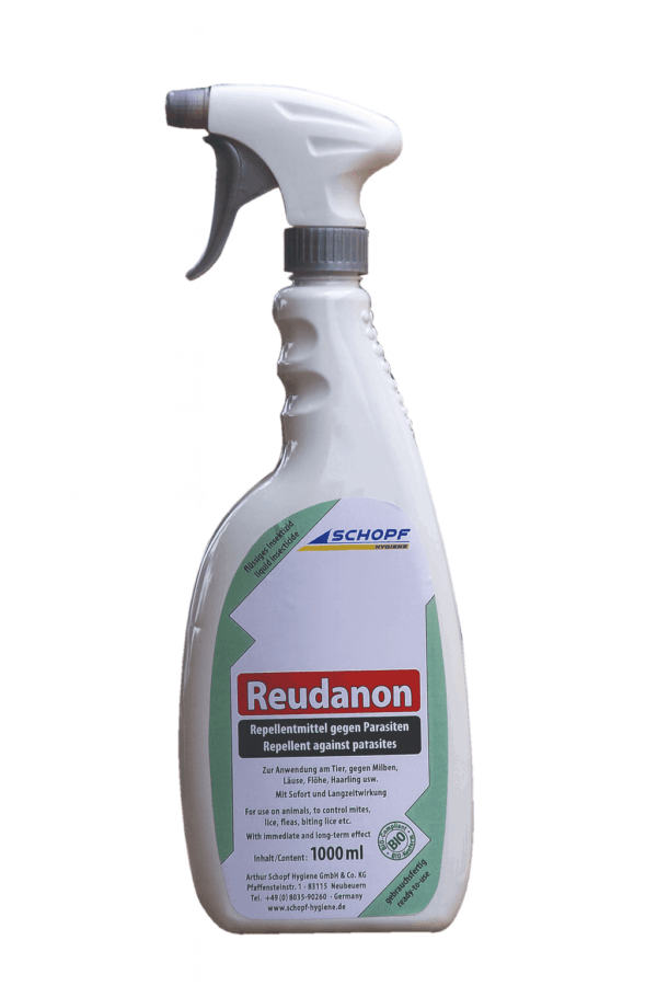 Reudanon